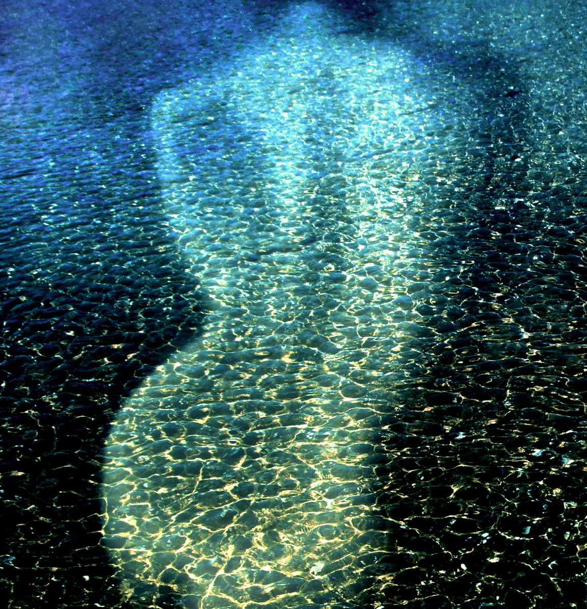 Blue Still