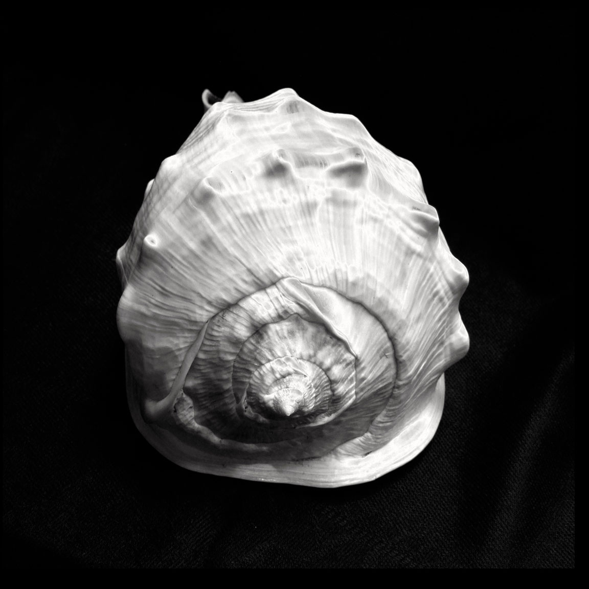 Queen Helmet